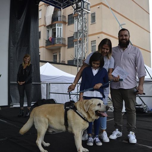 Successo per le &quot;Quattro zampe in passerella&quot; a Nichelino