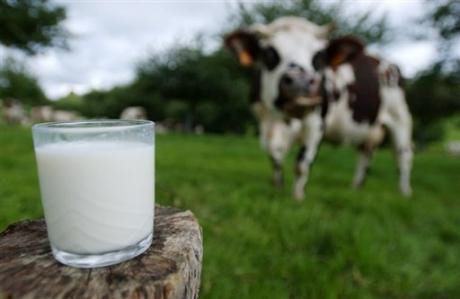 &quot;Tavolo latte: le parole non bastano, servono aperture e fatti concreti&quot;