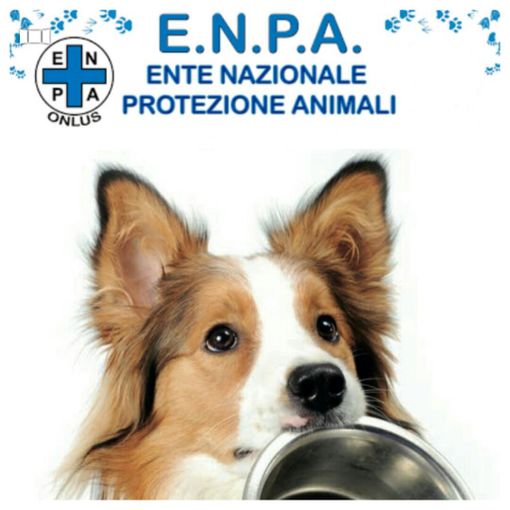 Apre oggi a Torino la mostra &quot;150 anni di protezione degli animali: excursus storico e legislativo&quot; realizzata dall'Enpa