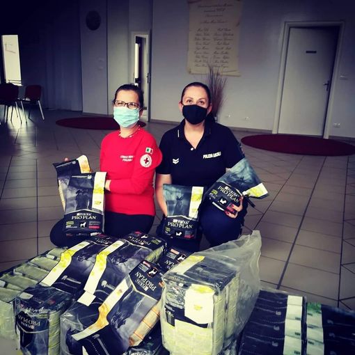La Croce Rossa distribuisce alimenti per cani ai cittadini di Nichelino in difficoltà