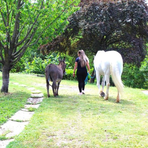 Bosco borgo Rubens: una giornata di pulizia del verde