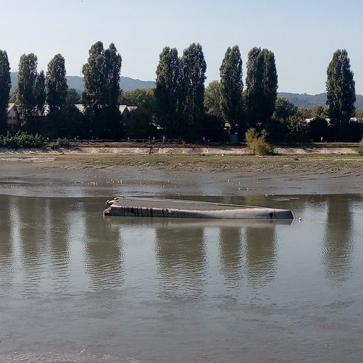 Recuperare e valorizzare gli attracchi fluviali del Po, approvata mozione dal Consiglio Comunale di Torino una mozione
