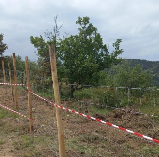 reti contenitive per peste suina