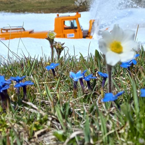 Da domani riapertura totale per la strada provinciale 50 del Colle del Nivolet