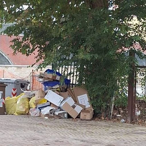 Moncalieri fa ancora i conti con i 'furbetti dei rifiuti': maxi discarica in Lungo Po Abellonio