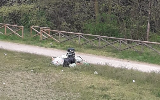 spazzatura al di fuori di un cestino nel parco