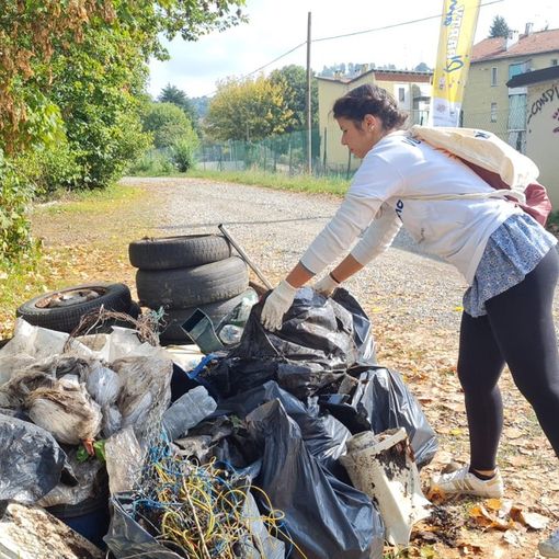 Circa cento volontari hanno ripulito le sponde del Po nella zona del Meisino