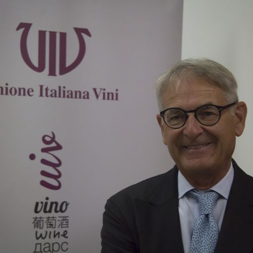 Ottime previsioni per la vendemmia 2018: +15% rispetto al 2017