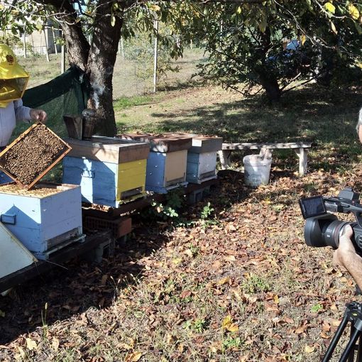 A spasso per Romano, la bellezza del Canavese si racconta per immagini