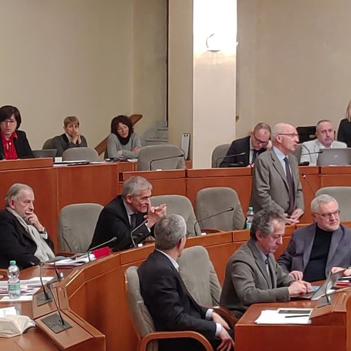 Parco della Salute, Chiamparino: &quot;I posti letto pediatrici non saranno ridotti, ma ridistribuiti tra gli altri ospedali&quot;