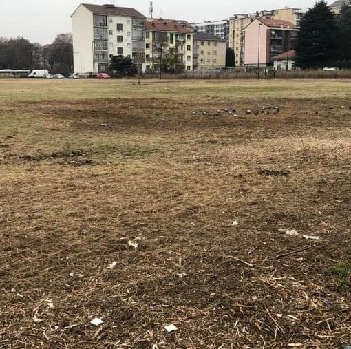 La proposta di Carretto per conservare il prato di Parella: &quot;Percorso partecipato come per via Revello&quot;