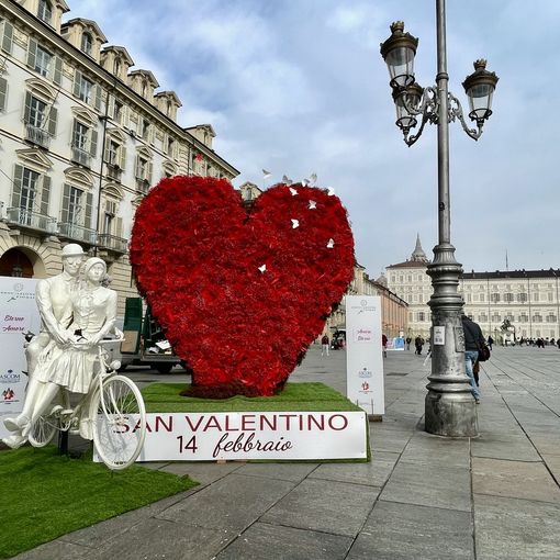Sempre meno rose: a San Valentino i torinesi prediligono ranuncoli e gipsofila