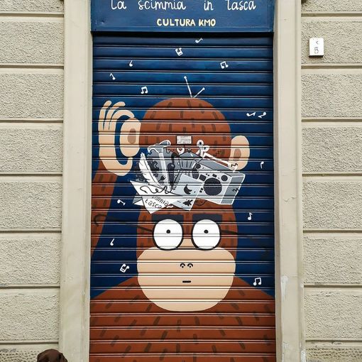 La scimmia in tasca, saracinesca