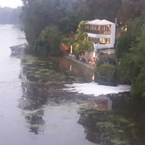 Dopo le alghe, nel Po arriva la schiuma bianca (FOTO)