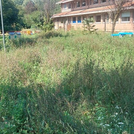 cortile scuola boncompagni