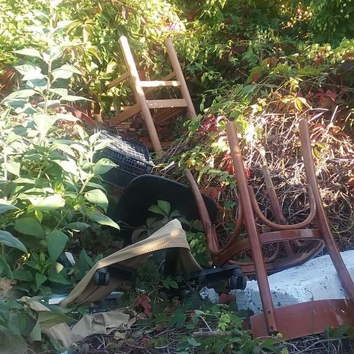 Rifiuti, topi e prostitute a due passi dai bimbi dell’asilo: giardino discarica accanto alla scuola De Panis