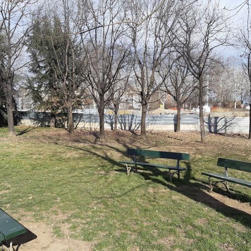 Al via la riparazione di oltre 500 panchine nei parchi e nei giardini della città