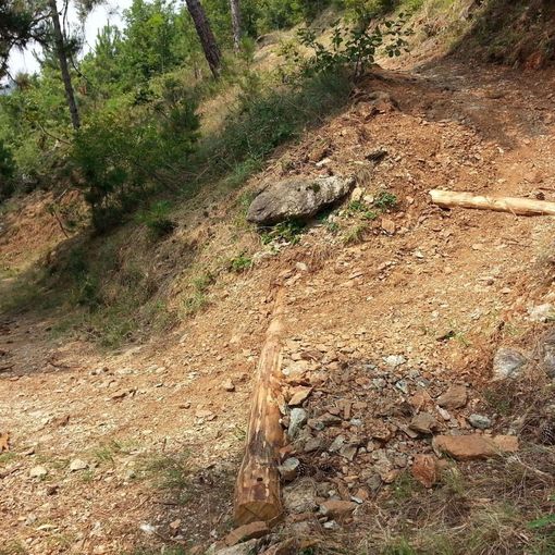 &quot;Lasciateci camminare in montagna&quot;, Uncem sia allinea alla petizione per l'attività all'aria aperta