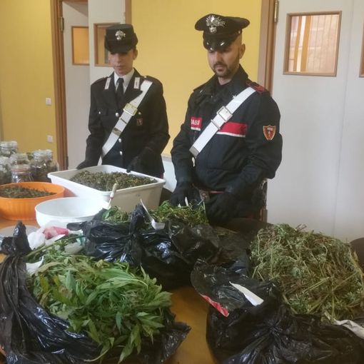 “Droga express” intercettato dai carabinieri: trasportava 8 kg di marijuana