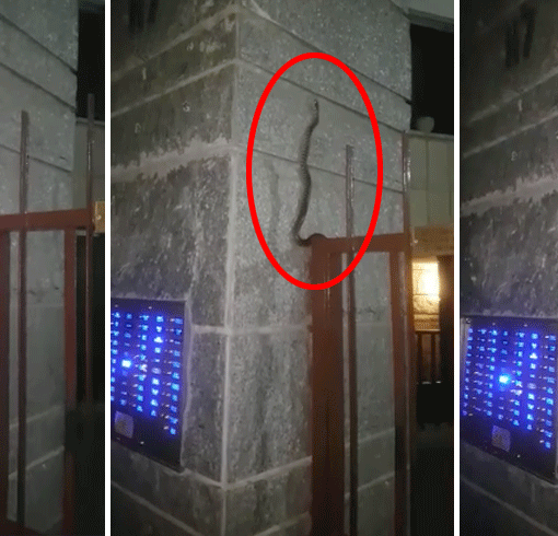 Foto e video presi da Verderosa Grazia, Gruppo Facebook &quot;sei di Borgo Vittoria Se&quot;