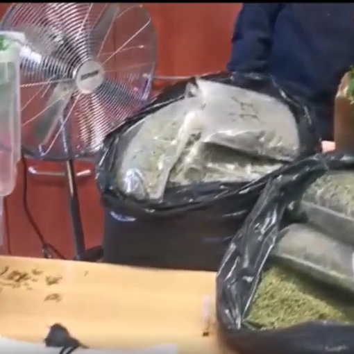 Droga sequestrata dalla Polizia