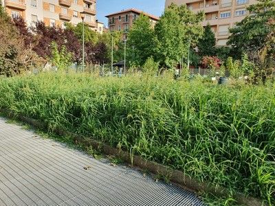 sfalcio dell'erba - foto di repertorio