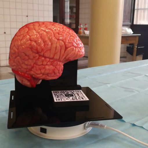 Simulatore neurochirurgia