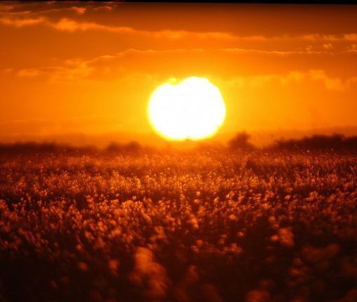 Weekend di caldo e afa elevati: da lunedì graduale calo delle temperature