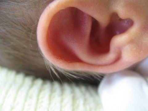 orecchio di un neonato