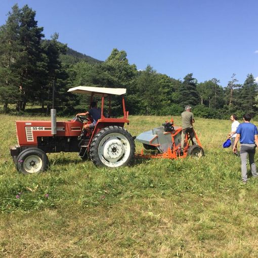 Tav, al via la &quot;spazzolatura&quot; per erbe e fiori da utilizzare nel Corridoio ecologico per salvare le farfalle