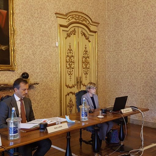 Il lockdown nella borsa della spesa dei torinesi: priorità a cibo e bollette, ma non tutti sono riusciti a risparmiare
