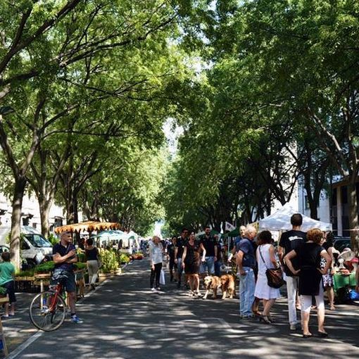 &quot;San Salvario ha un cuore verde&quot;: l'appuntamento florovivaistico di Torino