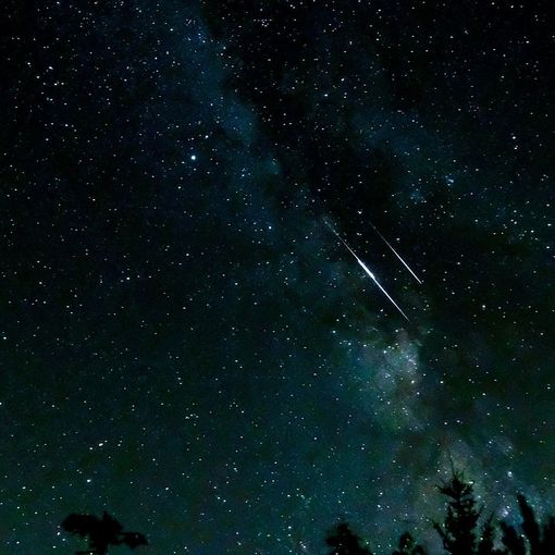 Pino sotto le stelle: una serata con il naso rivolto al cielo, a ritmo di jazz