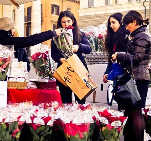 Le stelle di Natale AIL riempiono nel weekend le piazze di Torino: ecco dove trovarle