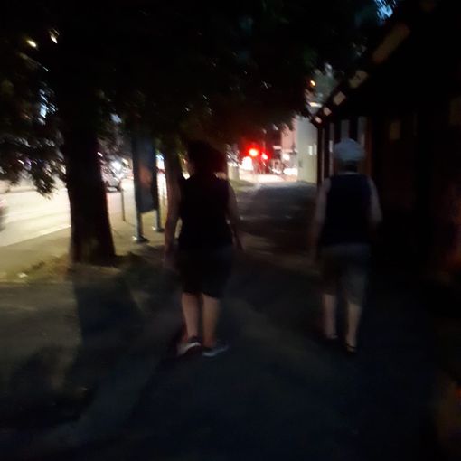 &quot;Strada Altessano buia e insicura, occorre potenziare l'illuminazione&quot;