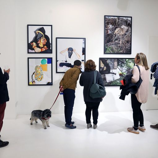 Inaugurata ieri a Torino la mostra &quot;Street art volant!&quot;