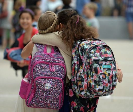 Protestano contro la didattica a distanza, insulti social a due studentesse torinesi