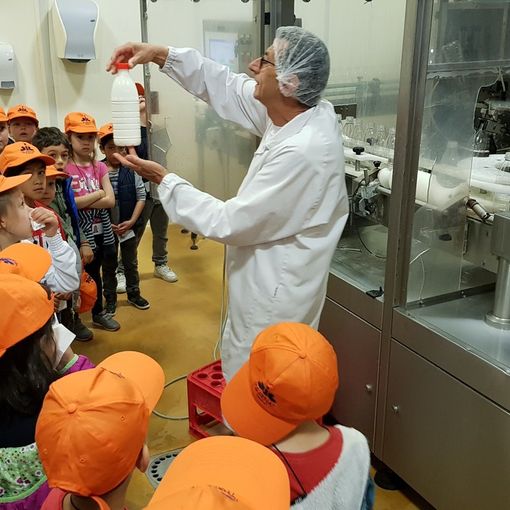 Chiude con successo il programma &quot;Latte nelle scuole&quot;