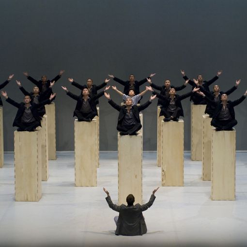 I Monaci del Tempio di Shaolin al Teatro Regio: si apre questa sera Torinodanza