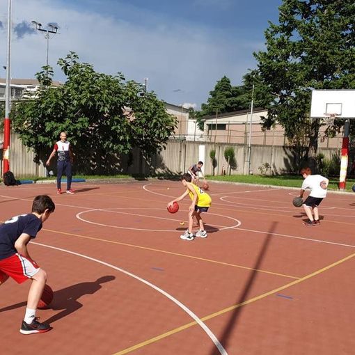 tam tam basket
