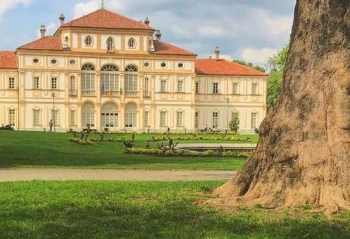 Alla Tesoriera controlli di stabilità per 430 alberi