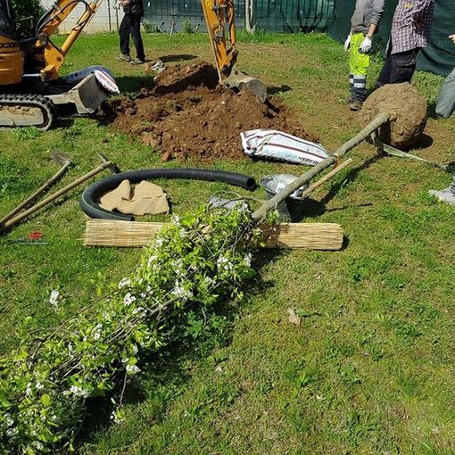 Parella, la Circoscrizione 4 alla ricerca di un gestore per l'Officina Verde Tonolli