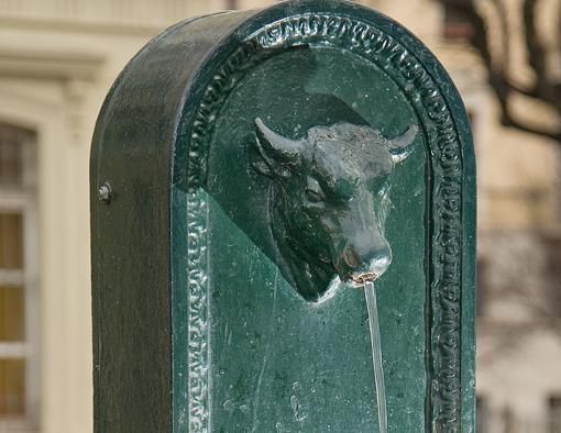 San Donato, il toret in piazza Paravia si può fare ma solo al posto di un altro