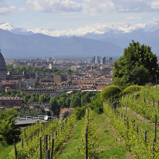 Tea &amp; Company, i migliori tè da tutto il mondo nel centro di Torino