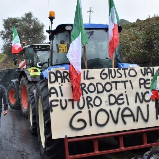La rabbia di Confagricoltura Piemonte: &quot;Istituzioni europee indifferenti alle proteste degli agricoltori&quot;