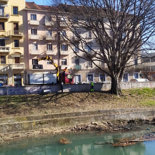 alveo pulito lungo la Dora