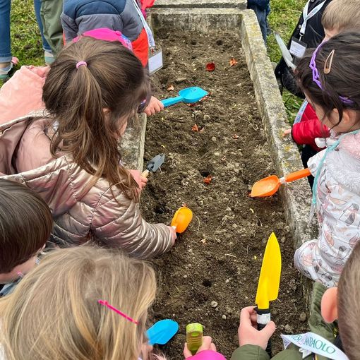 Tulipani per la pace a San Mauro