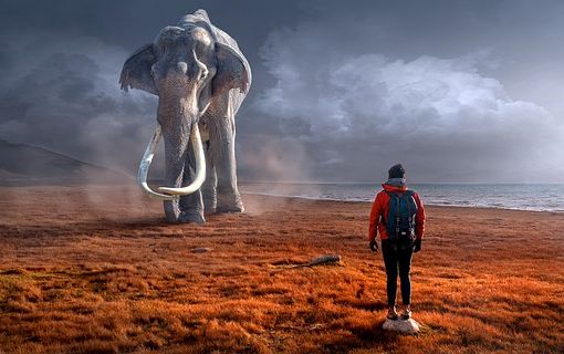 Dalle pagine del libro un manifesto per salvare il pianeta e gli animali rari