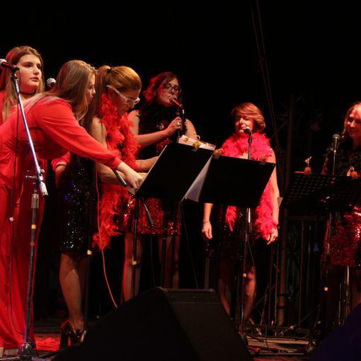 Grugliasco, torna l'appuntamento con le note benefiche di &quot;Un blues per Janis&quot; [FOTO]