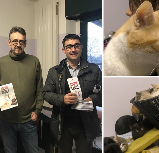A Torino il 2020 sarà l'anno del gatto, Unia: &quot;Tanti mici in città, prendiamocene cura&quot;